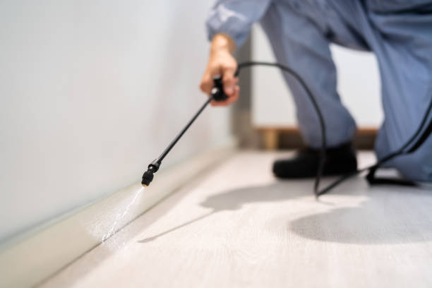 Licensed Pest Control service in Mission Hills, KS - Show Me Pest Control